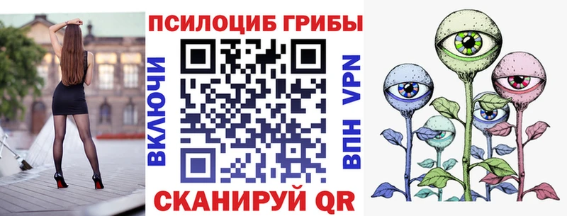 сайты даркнета Telegram  kraken зеркало  Волгореченск  Псилоцибиновые грибы MAGIC MUSHROOMS 